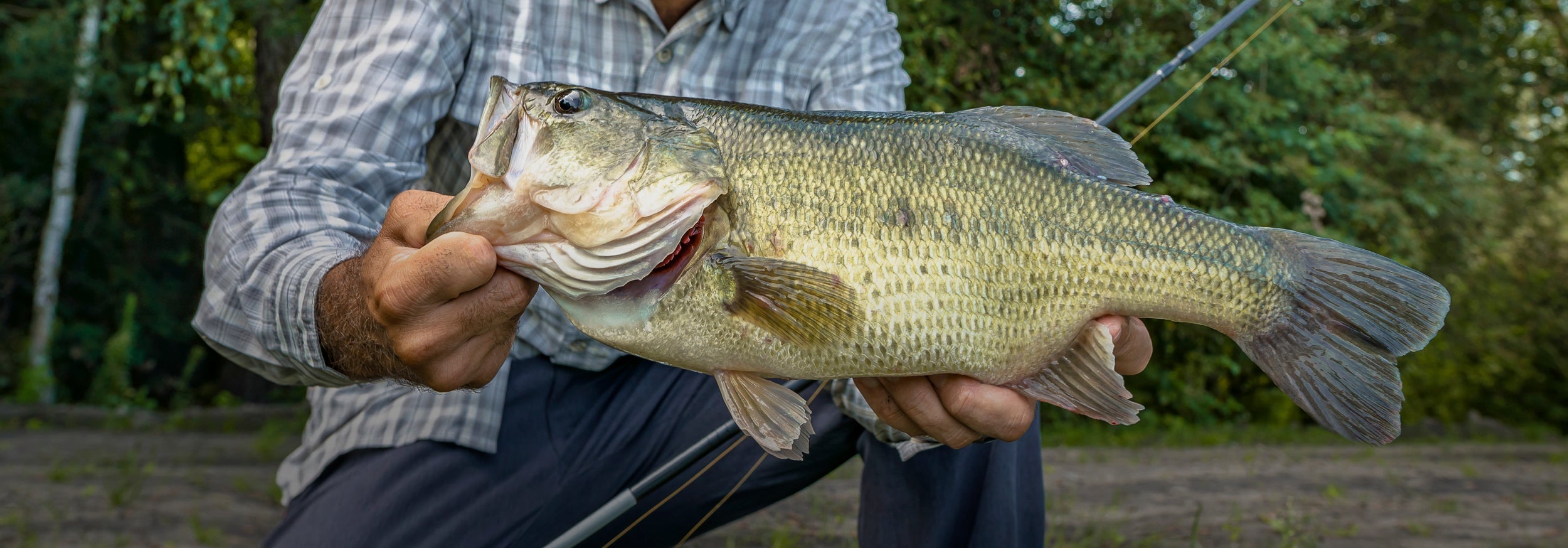 Fishing Industry Marketing Consultant