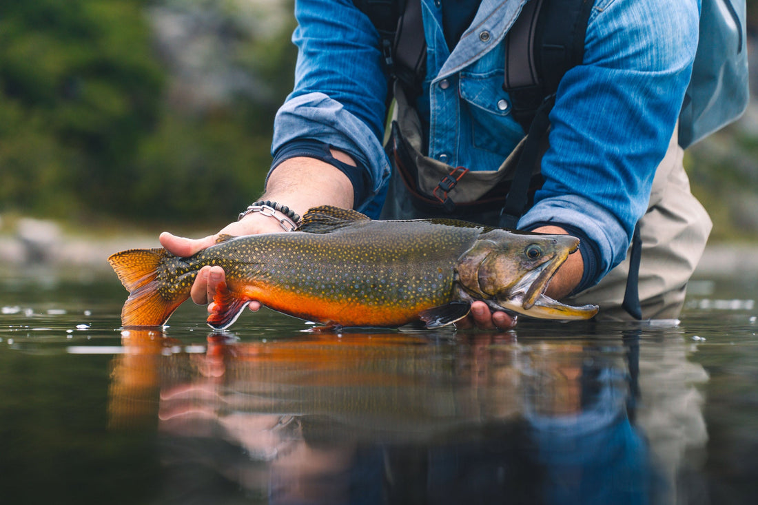SEO Strategies for Outdoor Brands by an Expert Marketing Consultant