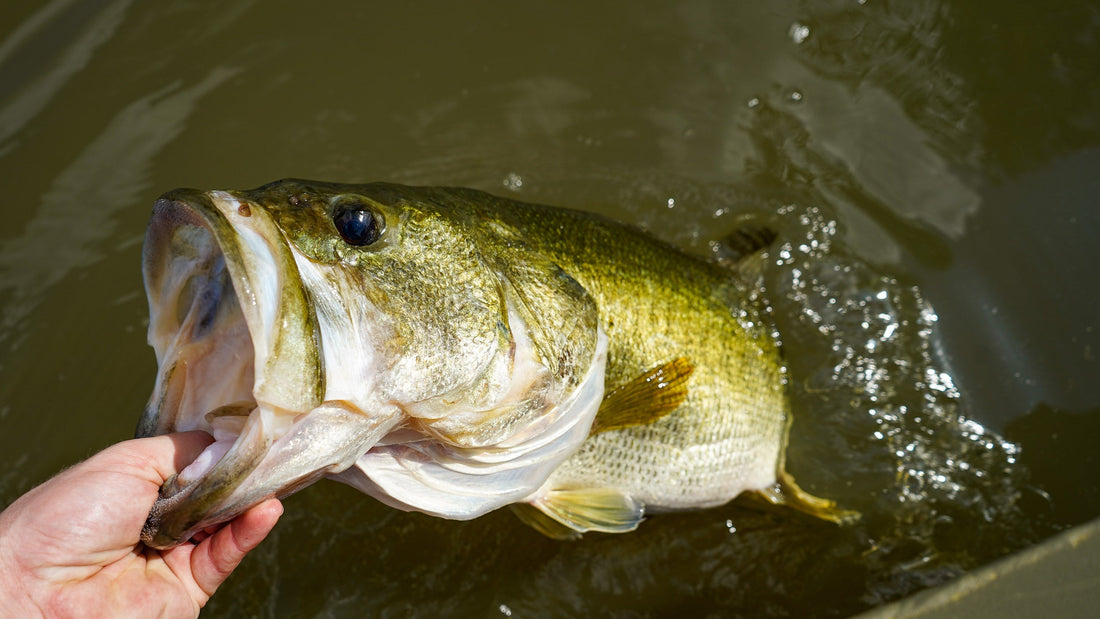 fishing brand digital marketing strategy