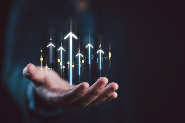 Ecommerce consultant analyzing PPC campaign performance metrics